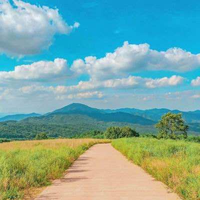 星空app官方版手机app下载