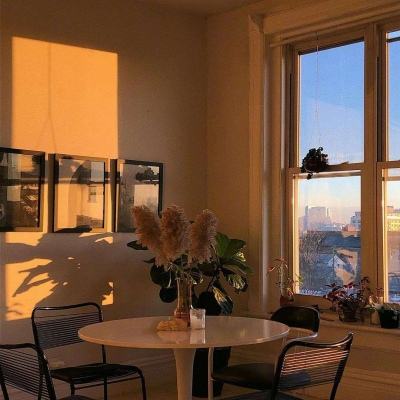 半岛·综合下载手机版