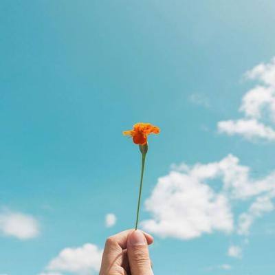 开元im电竞官网