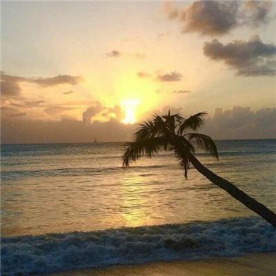 天天中彩票手机版登录