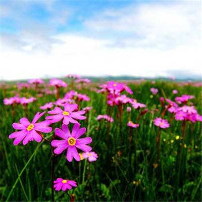 江南官方网站下载