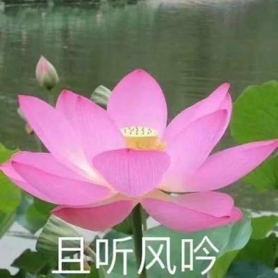 金沙集团9500官网