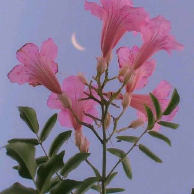 乐宝体育官网登录入口手机app下载