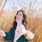 bb平台体育下载